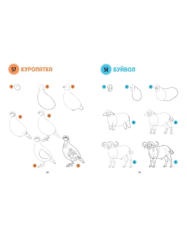 Большая книга животных. 300 рисунков шаг за шагом