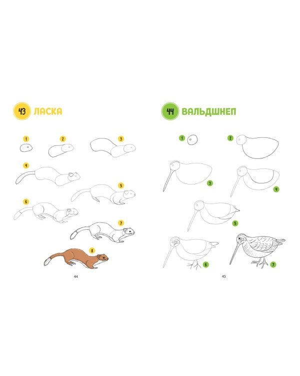 Большая книга животных. 300 рисунков шаг за шагом