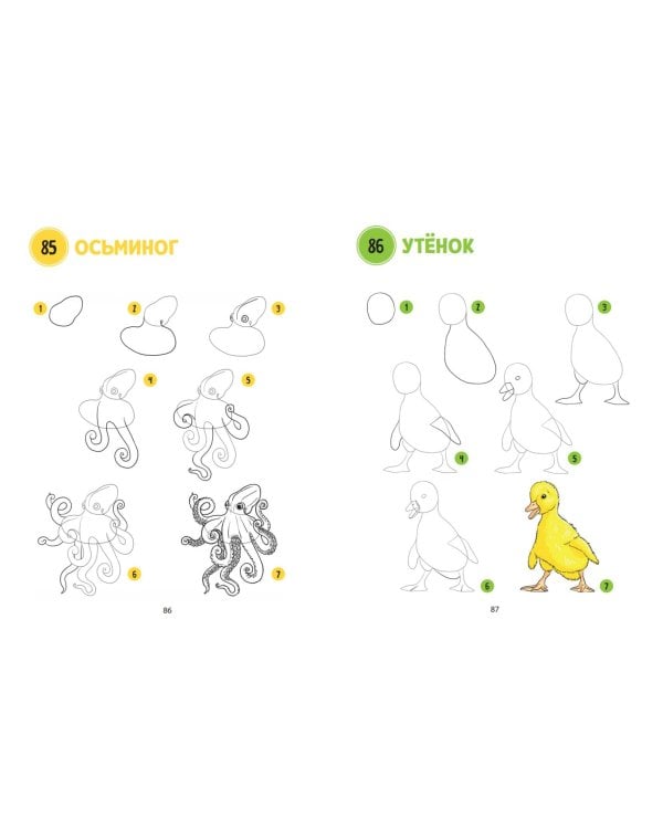 Большая книга животных. 300 рисунков шаг за шагом