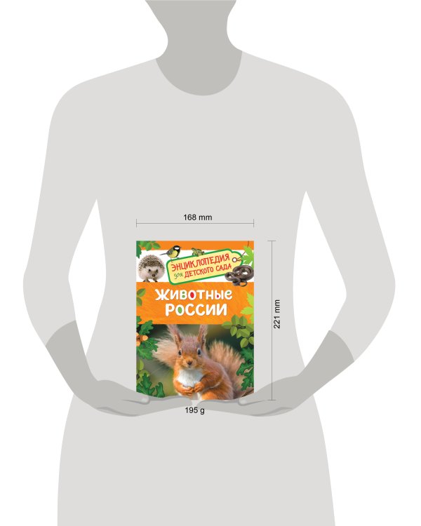 Животные России (Энциклопедия для детского сада)