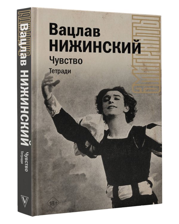 Чувство. Тетради