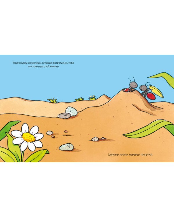 На полянке (с наклейками)