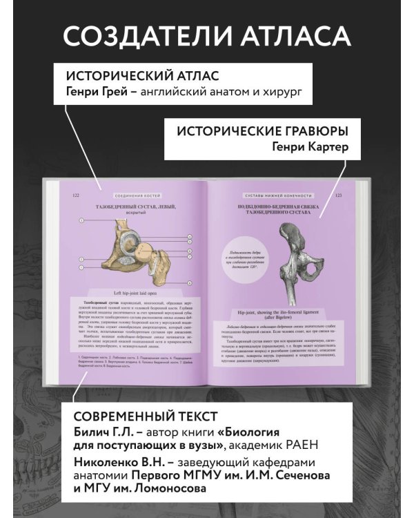 Популярный атлас анатомии человека. 200 классических иллюстраций из «Анатомии Грея»
