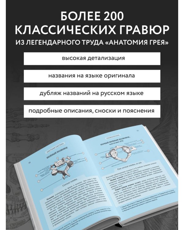 Популярный атлас анатомии человека. 200 классических иллюстраций из «Анатомии Грея»