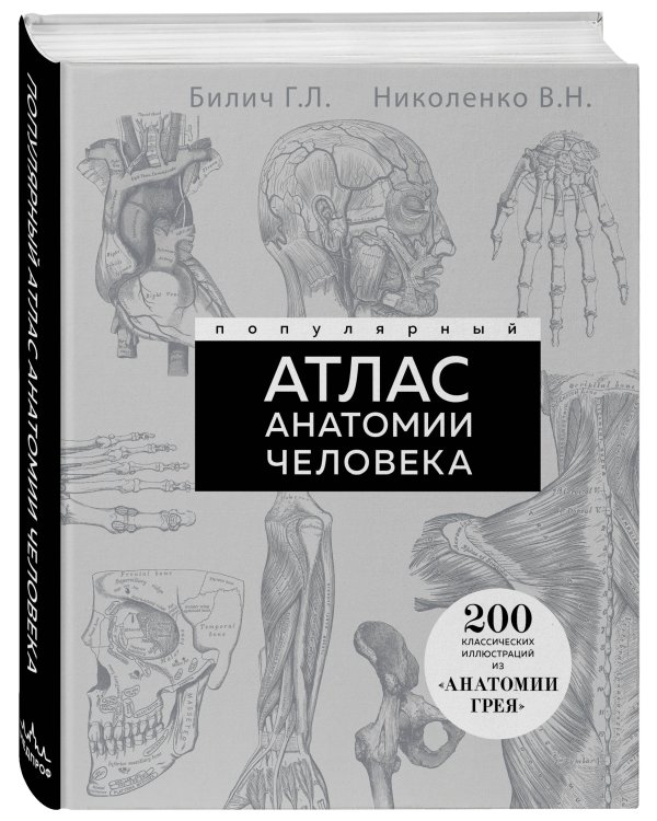 Популярный атлас анатомии человека. 200 классических иллюстраций из «Анатомии Грея»