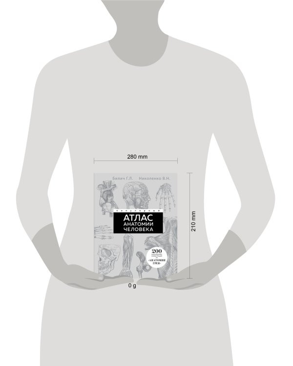 Популярный атлас анатомии человека. 200 классических иллюстраций из «Анатомии Грея»