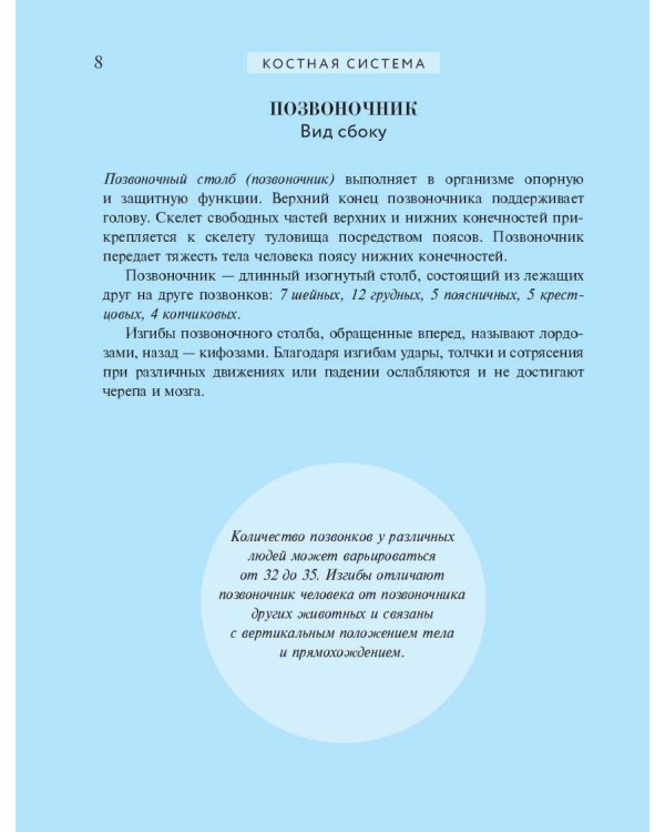 Популярный атлас анатомии человека. 200 классических иллюстраций из «Анатомии Грея»