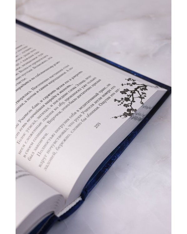 Черное Солнце. За что наказывают учеников