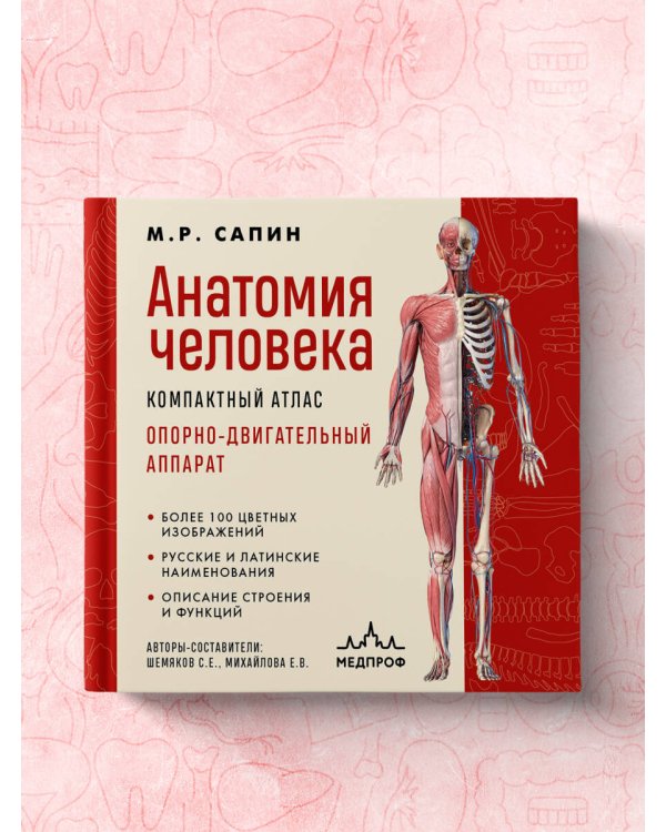 Анатомия человека. Компактный атлас. Опорно-двигательный аппарат
