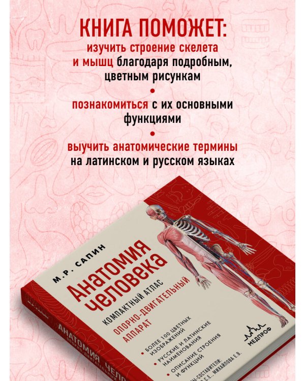 Анатомия человека. Компактный атлас. Опорно-двигательный аппарат