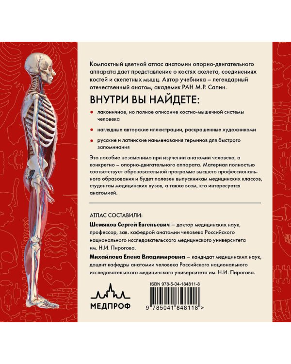 Анатомия человека. Компактный атлас. Опорно-двигательный аппарат