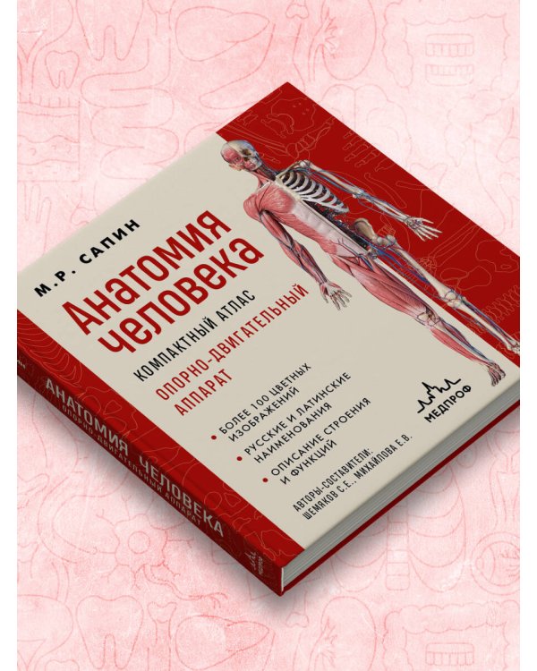 Анатомия человека. Компактный атлас. Опорно-двигательный аппарат