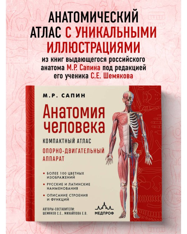 Анатомия человека. Компактный атлас. Опорно-двигательный аппарат