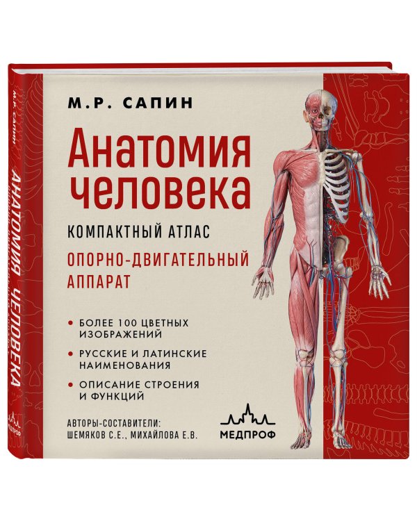 Анатомия человека. Компактный атлас. Опорно-двигательный аппарат