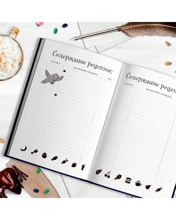 Неофициальная книга для записи рецептов Гарри Поттера (Рисунки)