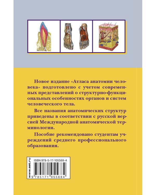 Атлас анатомии человека