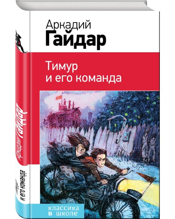 Тимур и его команда
