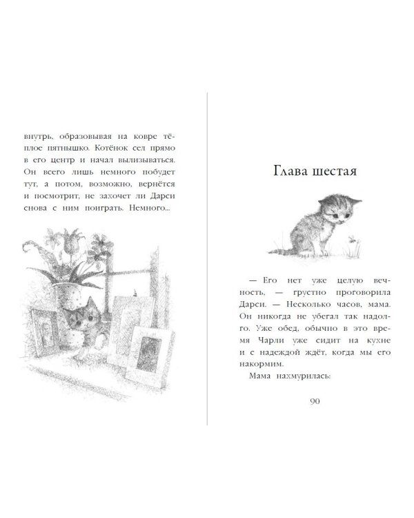 Котёнок Чарли, или Хвостатый бродяга (выпуск 43)