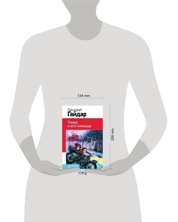 Тимур и его команда