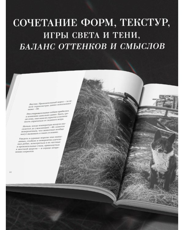 Монохром. Пронзительная красота России в черно-белых фотографиях Ивана Дементиевского