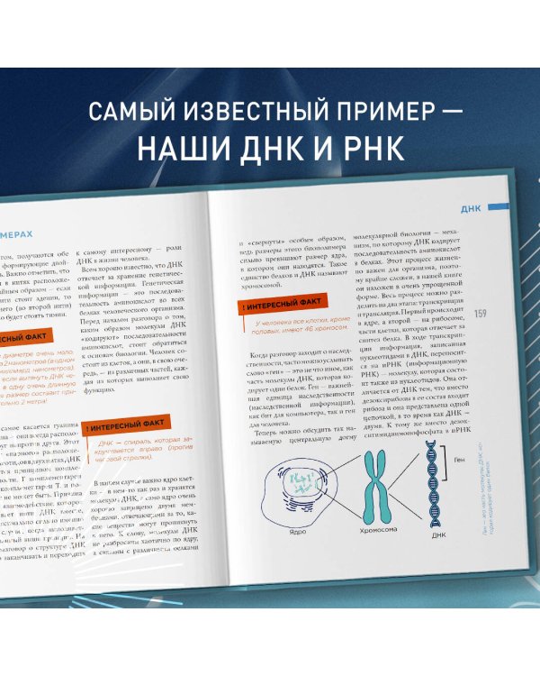 Всё о полимерах. Энциклопедия