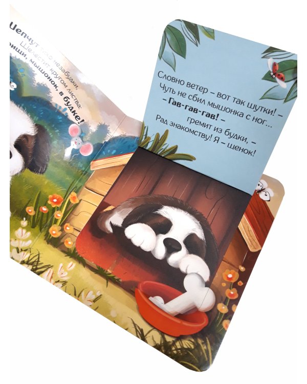 Прятки для самых маленьких. Кто сказал ква.