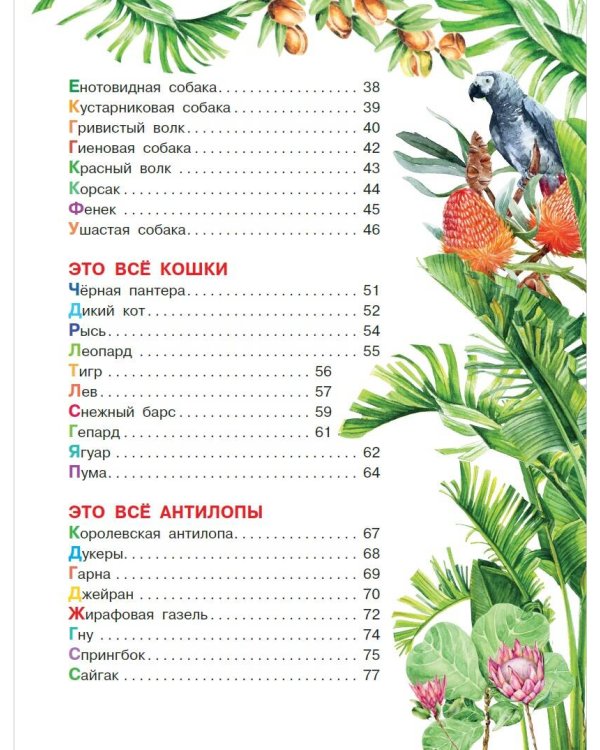 Удивительные звери