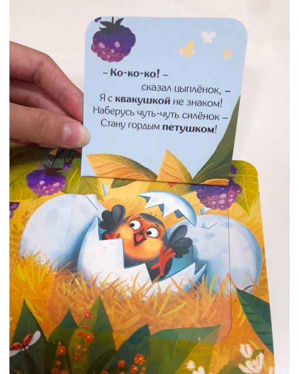 Прятки для самых маленьких. Кто сказал ква.