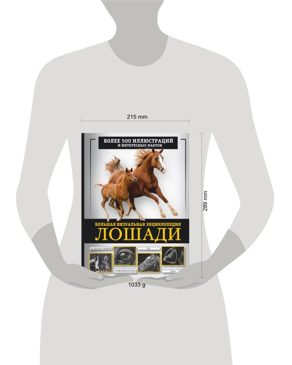 Лошади. Большая визуальная энциклопедия