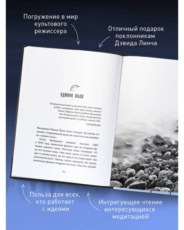 Поймать большую рыбу