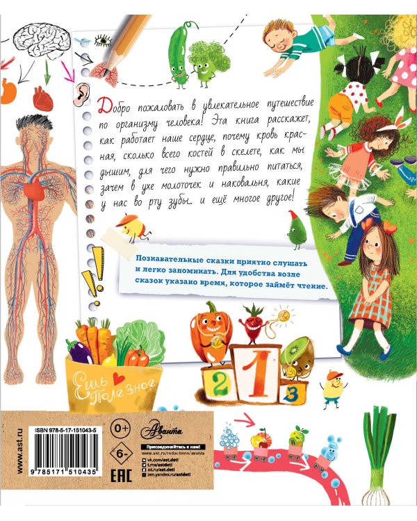 Почемучкины сказки о том, как устроен человек