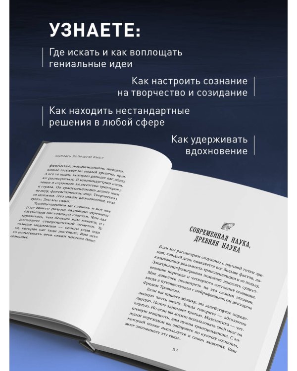 Поймать большую рыбу