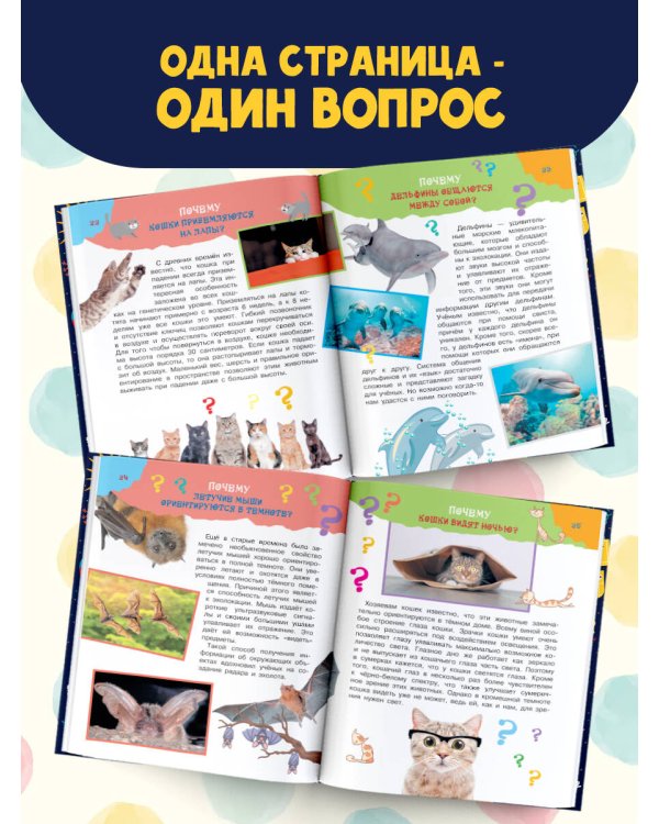 Большая книга почему