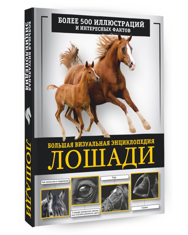 Лошади. Большая визуальная энциклопедия