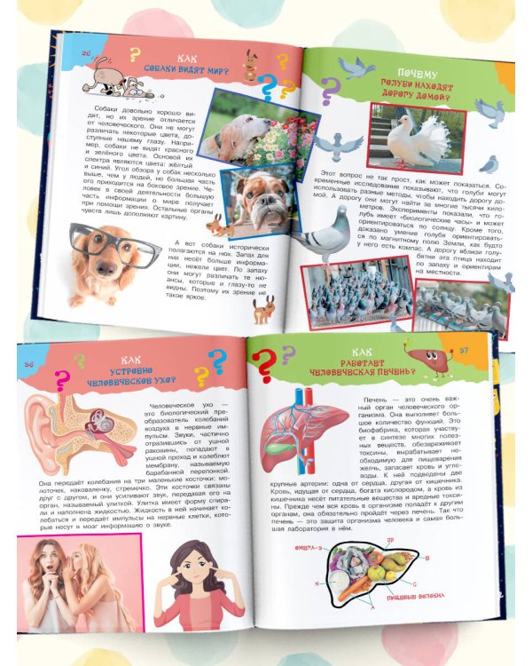 Большая книга почему