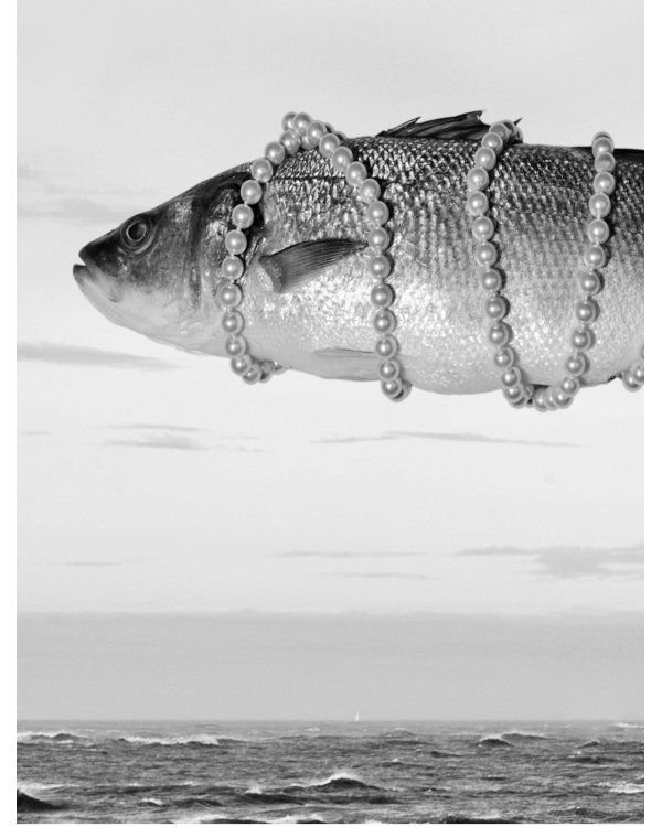 Поймать большую рыбу