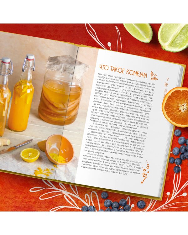 Комбуча. Искусство сочетания вкуса и пользы. Рецепты чайного гриба и напитков из него