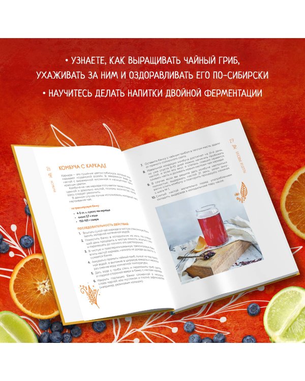 Комбуча. Искусство сочетания вкуса и пользы. Рецепты чайного гриба и напитков из него