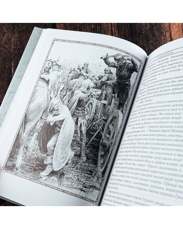 Ведьмак. Крещение огнем