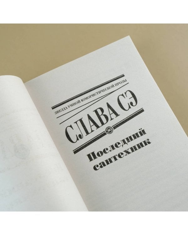 Последний сантехник