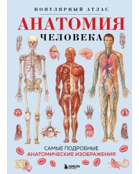 Анатомия человека. Популярный атлас. Самые подробные анатомические изображения