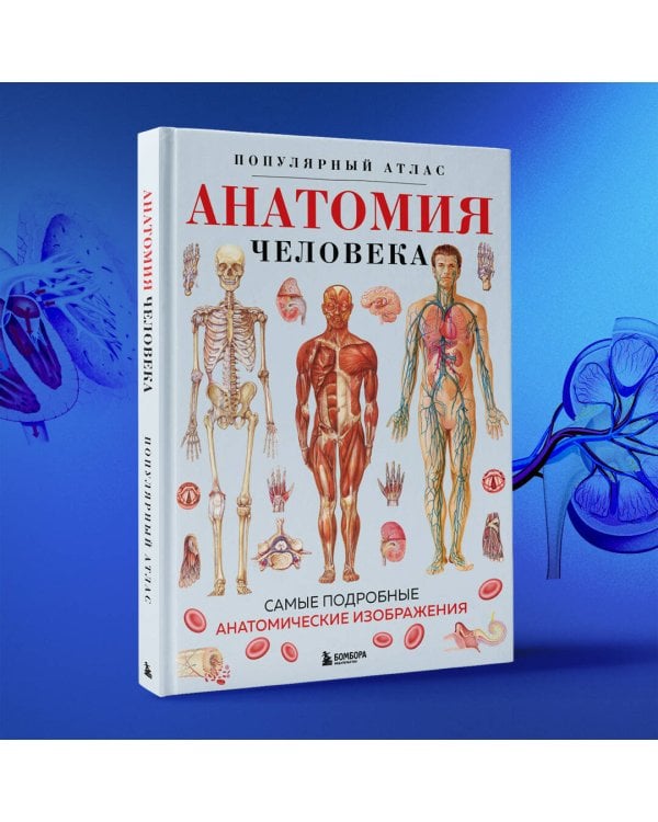 Анатомия человека. Популярный атлас. Самые подробные анатомические изображения