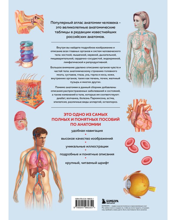 Анатомия человека. Популярный атлас. Самые подробные анатомические изображения