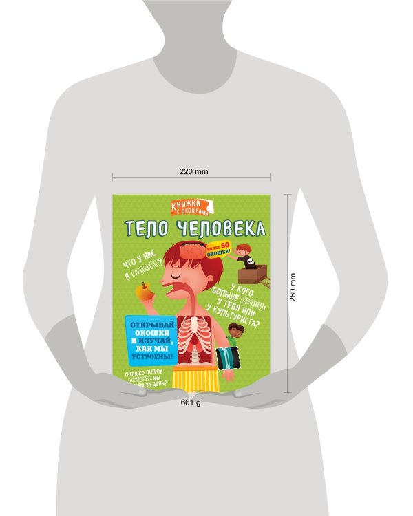 Тело человека