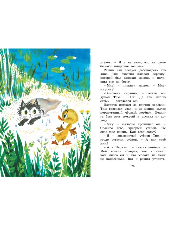 Знаменитый утёнок Тим