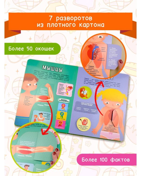 Тело человека