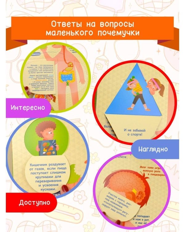 Тело человека