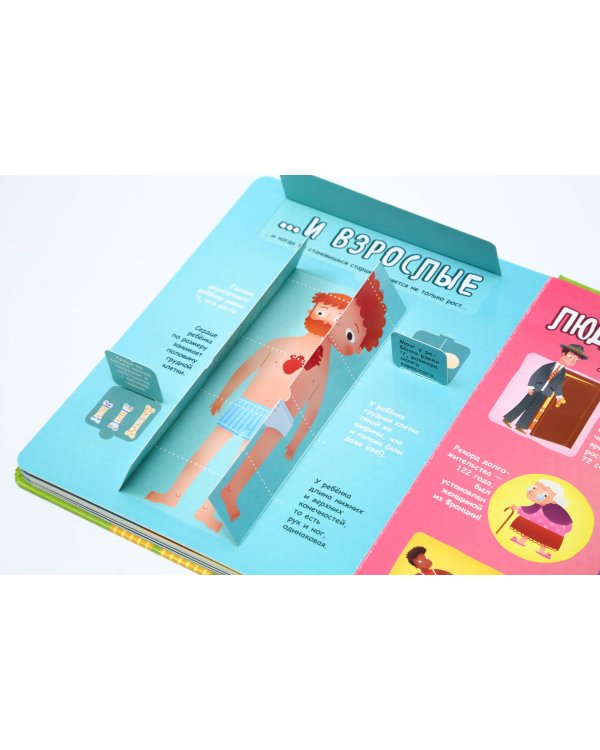 Тело человека