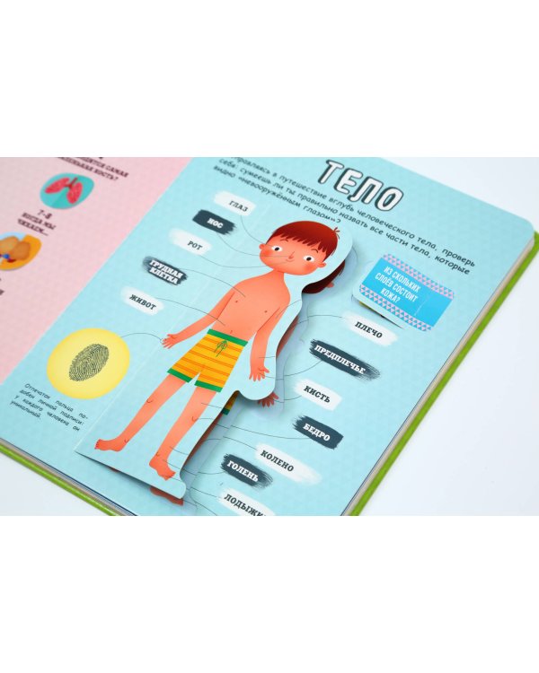 Тело человека