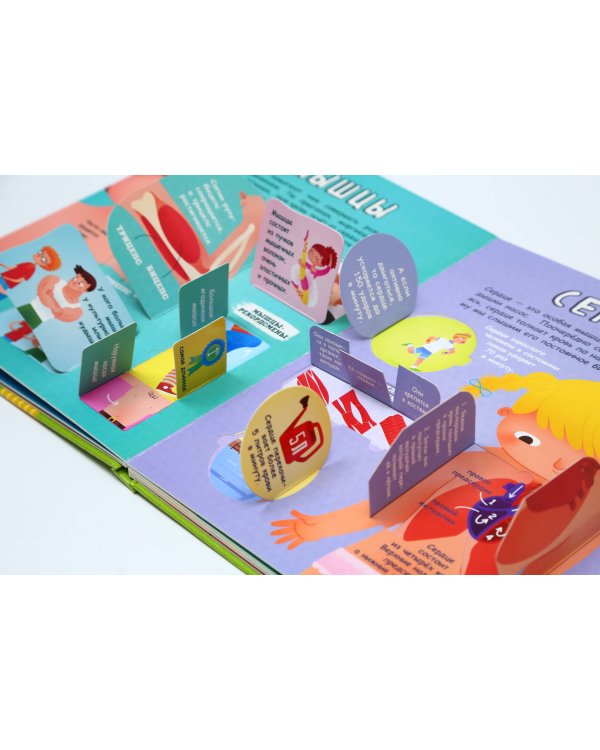 Тело человека